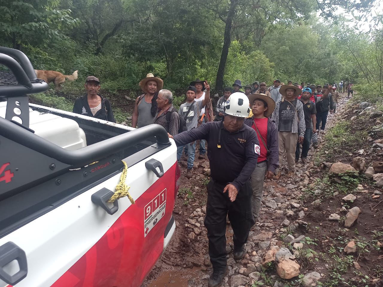 Unidad Canina de la SGIRPCGRO participó en labores de búsqueda y localización de menor reportado como desaparecido en Huiziltepec