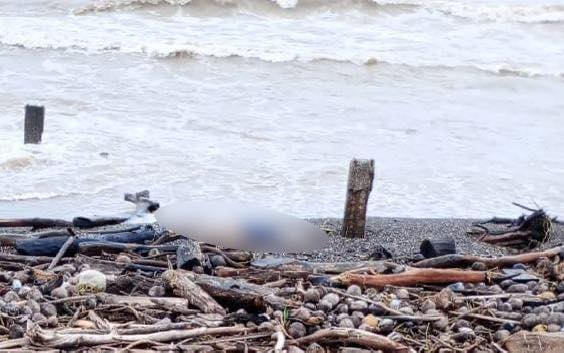 Hallan cuerpo de mujer en la desembocadura del río Balsas en playa de Petacalco