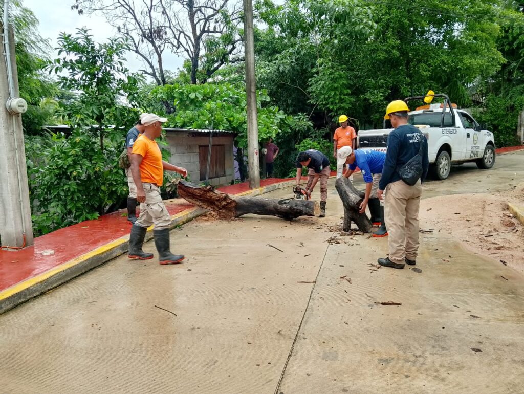 Daños menores causan lluvias en Atoyac