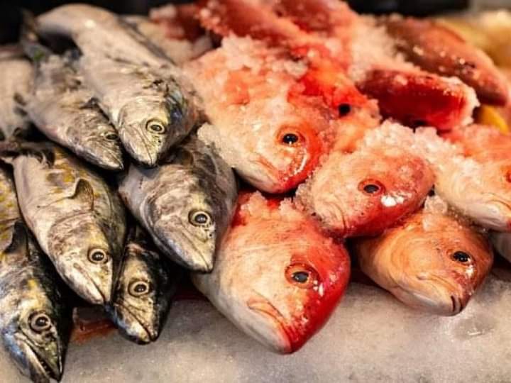 Alertan por escasez de mariscos en Puerto Vicente Guerrero