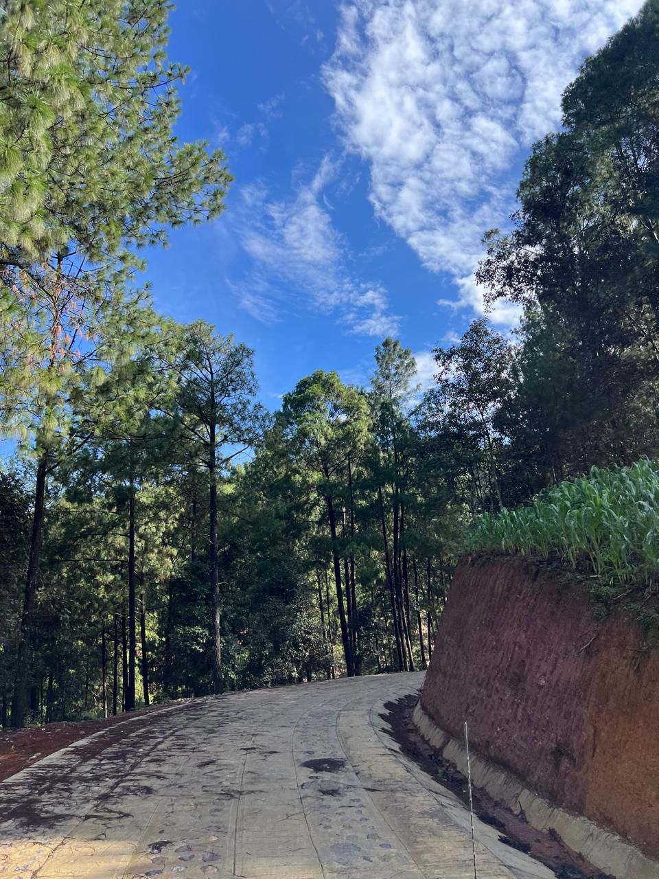 En Guerrero avanza la construcción de caminos artesanales en la Montaña y Costa Chica