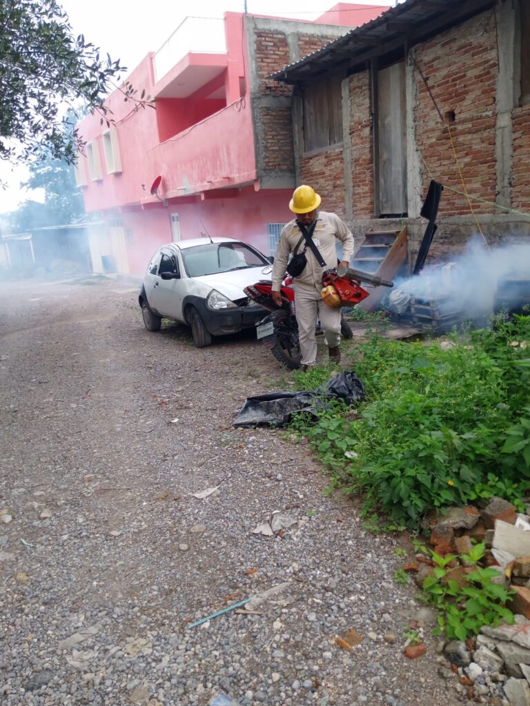 Mantiene Evelyn Salgado acciones de control contra el dengue en Guerrero