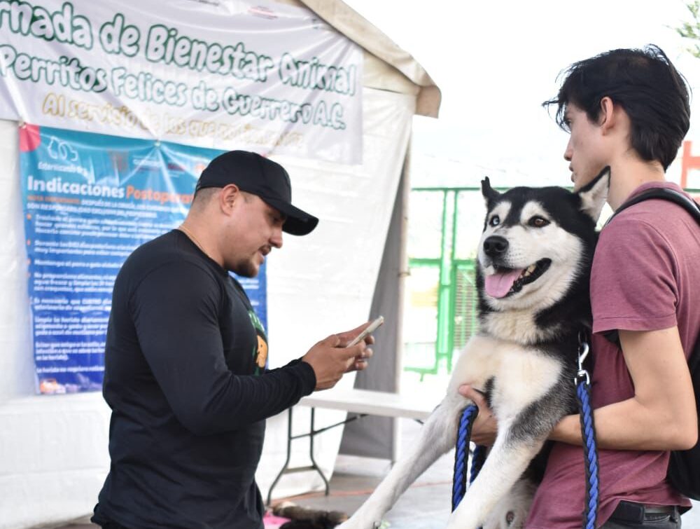 Promueve la gobernadora Evelyn Salgado acciones en favor de la protección animal a través de las “Jornadas de Bienestar Animal 2024”.