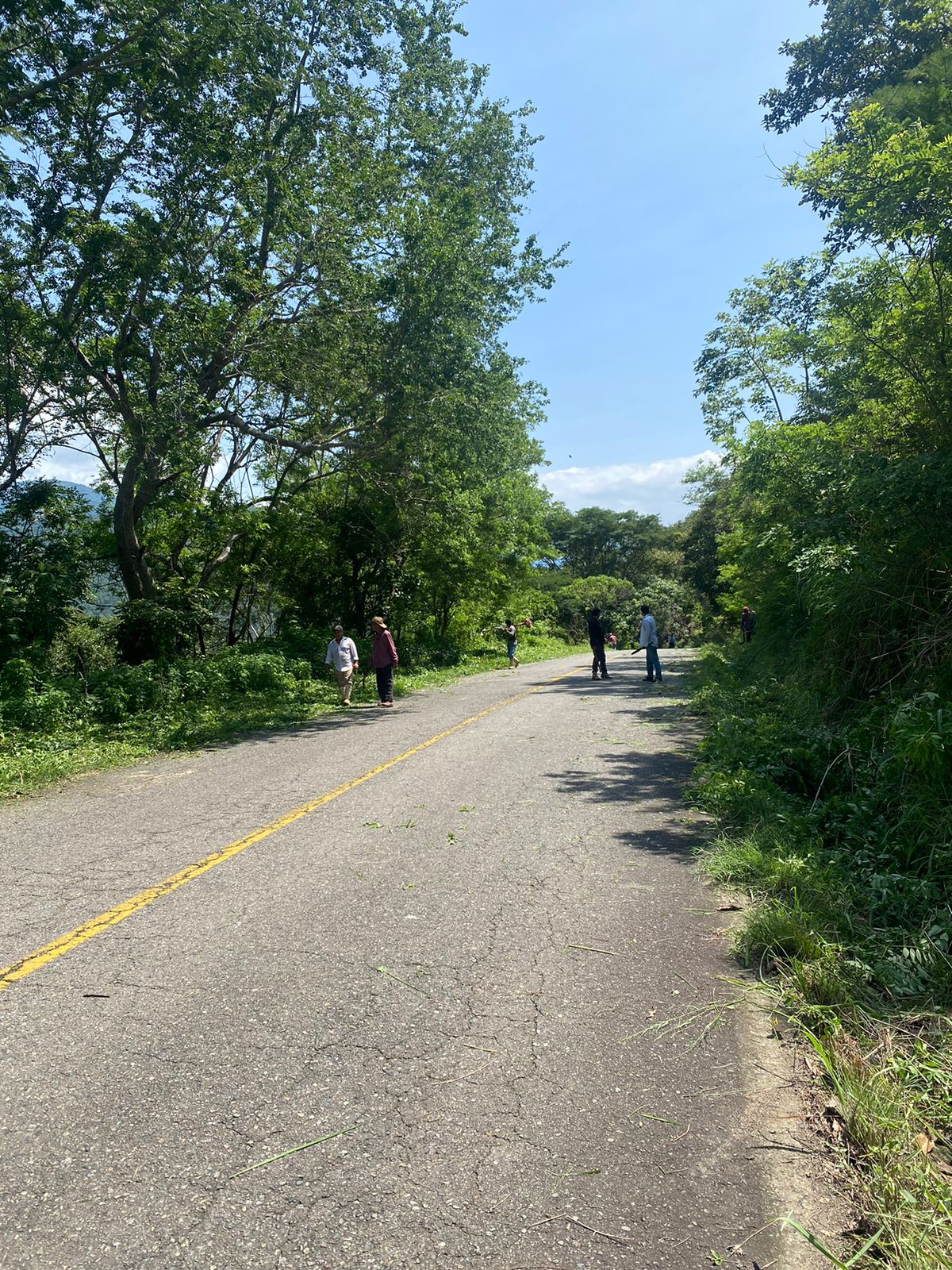 Habitantes de la sierra realizan jornada de limpieza en carretera federal