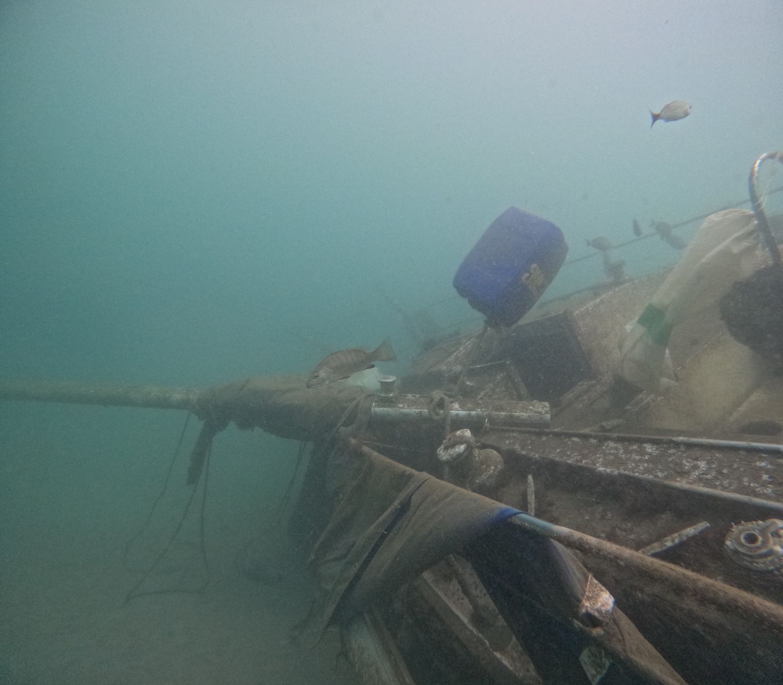 Velero hundido pudiera ser arrecife artificial