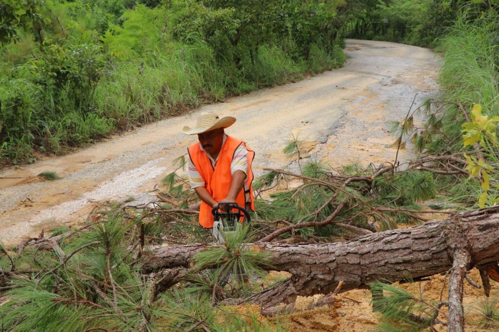 Brigadas de la SEDEPIA trabajan en la apertura de caminos en la región de la Montaña