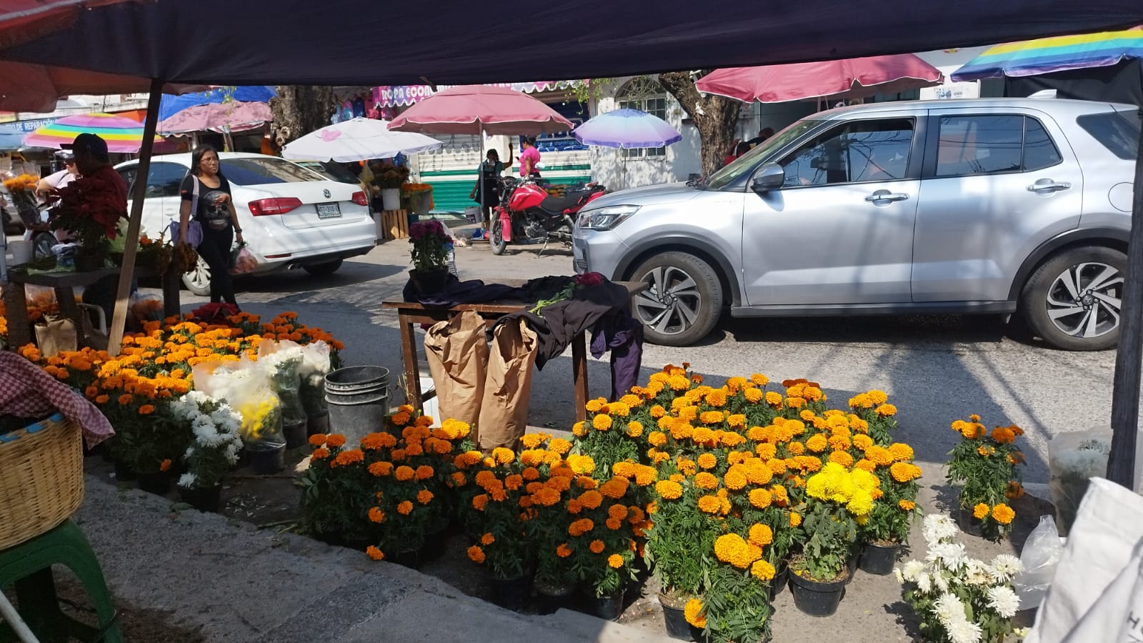 Se desploma la venta de flores para el Día de Muertos, en Chilpancingo