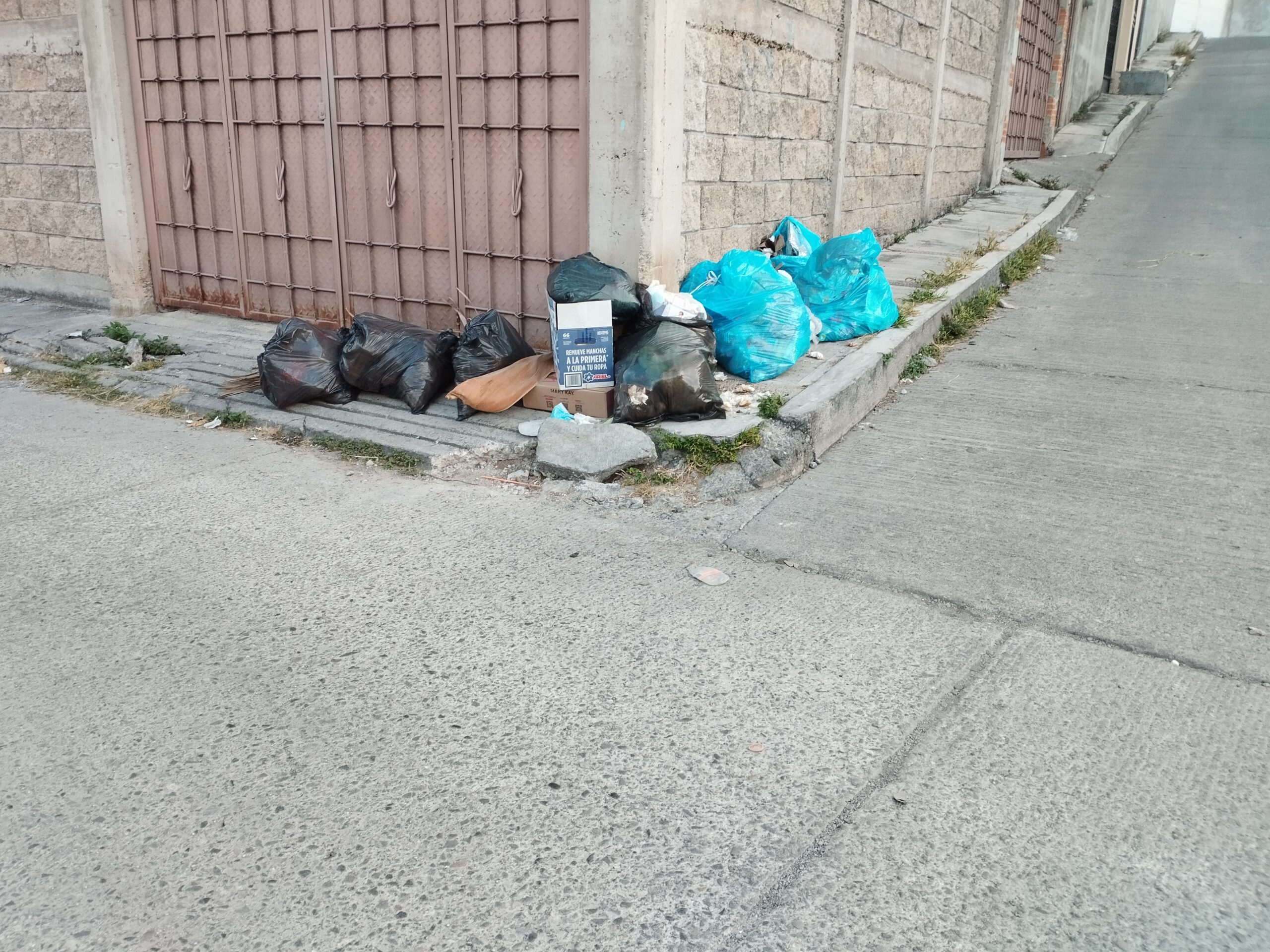 Chilpancingo… Ante la falta de camiones recolectores, vecinos tiran la basura en la vía pública