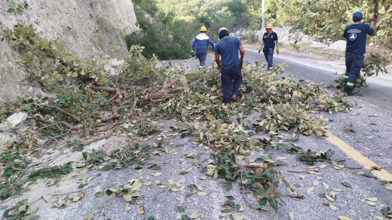 Personal de SGIRPCGRO atiende reporte de árboles caídos sobre la carretera Chilpancingo-Chichihualco