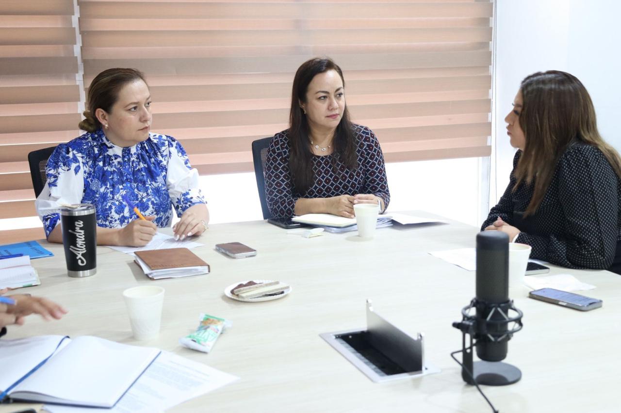 SSG y SIPINNA plantean estrategias para garantizar y priorizar la protección de niñas, niños y adolescentes