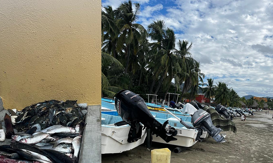 En temporada alta se eleva el precio del pescado en Zihuatanejo,  debido a la alta demanda y a las condiciones del mar