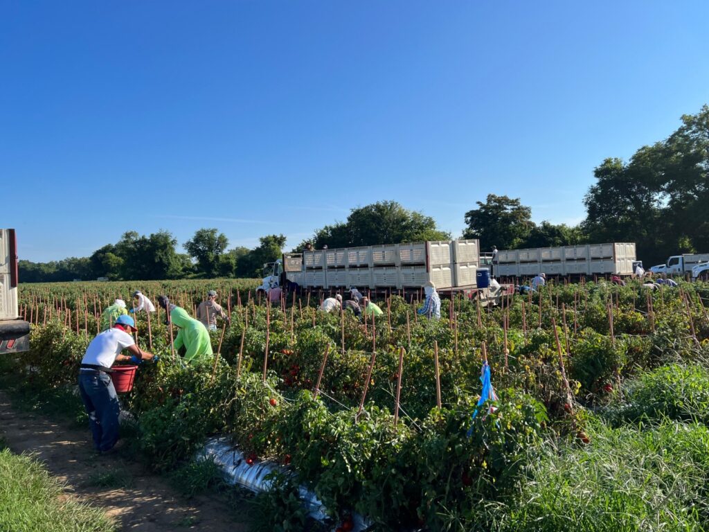 Abre el gobierno estatal convocatoria para vacantes de trabajadores agrícolas guerrerenses en Estados Unidos