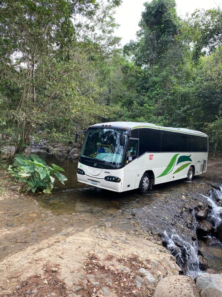 Las Cascadas de Mesas de Bravo en la Sierra de Zihuatanejo atraen a turistas del Bajío y extranjeros