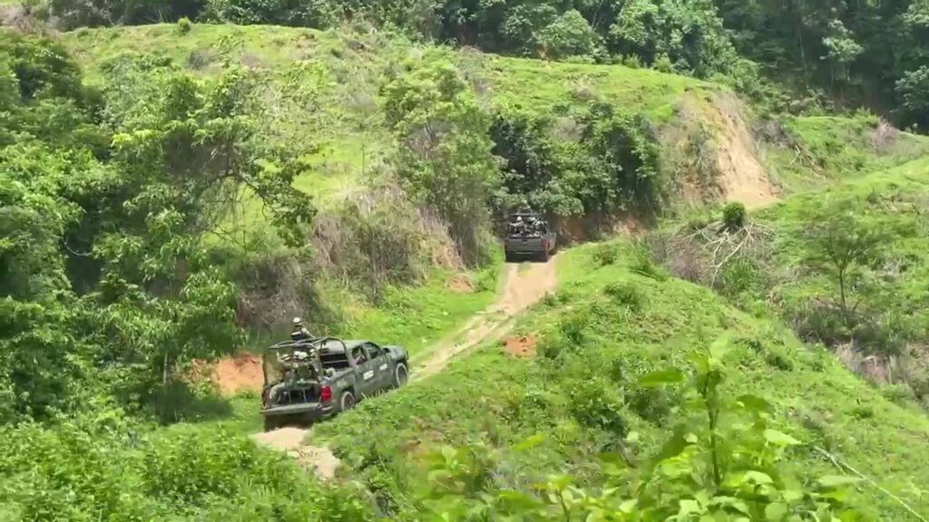 No hay nuevos plantíos de hoja de coca en Guerrero, aseguran