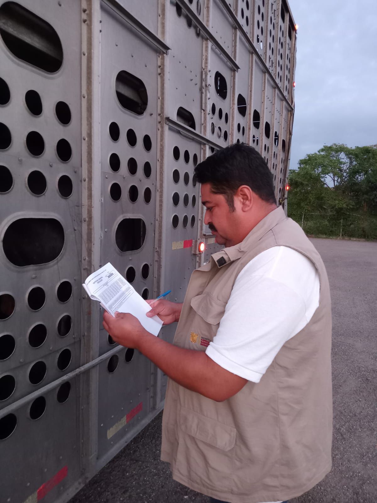 El hato guerrerense libre de gusano barrenador