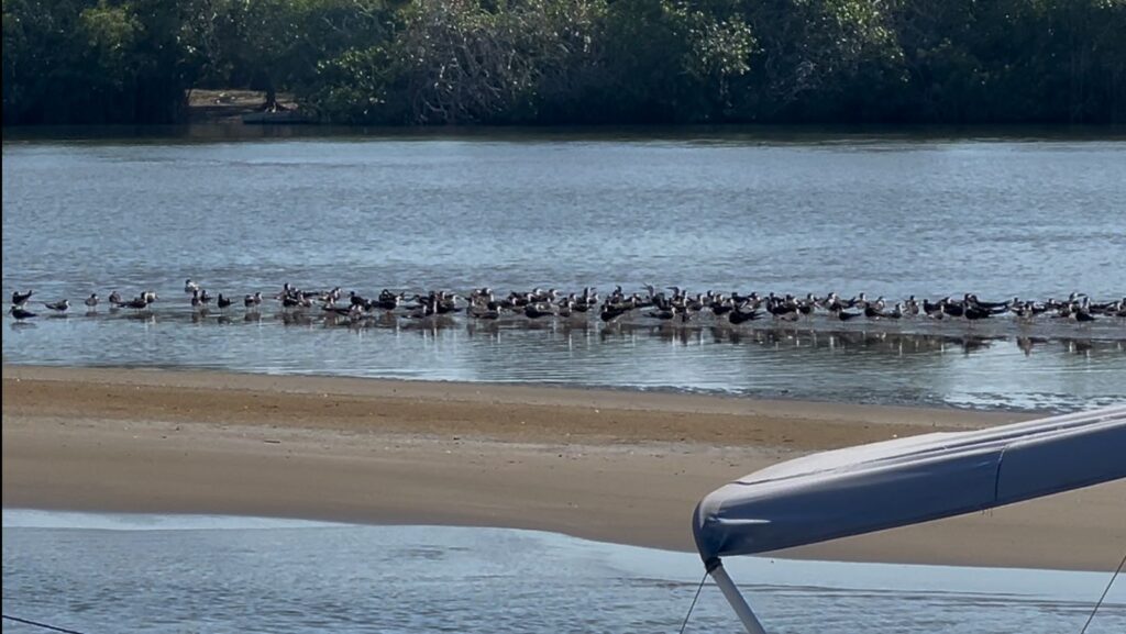 Barra de Potosí sin expectativas positivas para Semana Santa