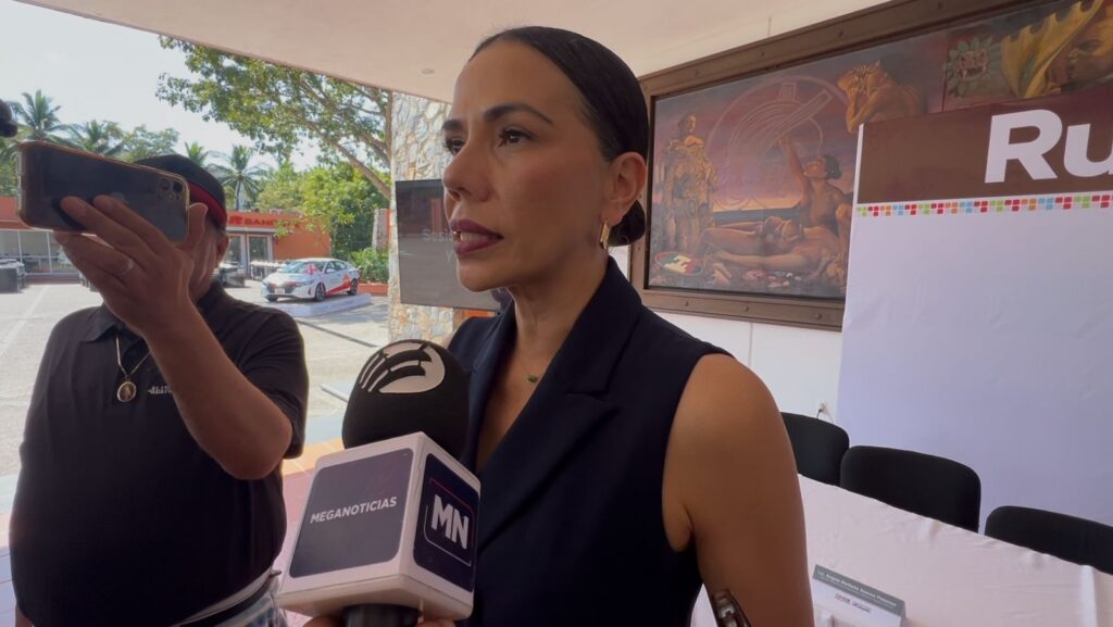 Transporte Violeta Zihuatanejo, en proceso de establecer modelo de operación