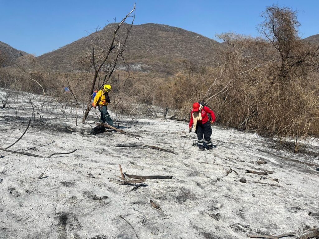 La SGIRPCGRO reporta controlado al 100 por ciento incendio de El Platanillo en Iguala