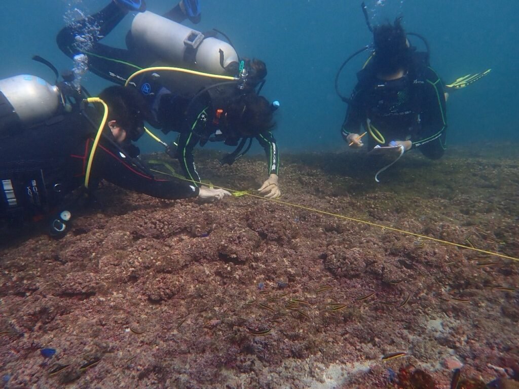 Realizan UNAM, UMSNH, ProCosta y Zankas Reef curso de capacitación de buzos para el monitoreo de comunidades coralinas en Zihuatanejo