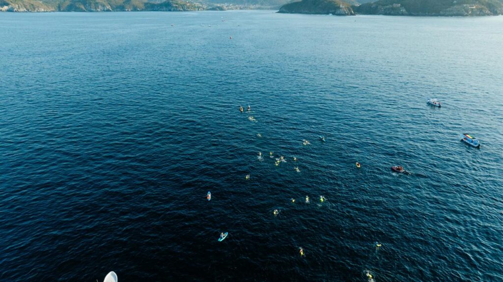 Con éxito desarrolla Gobierno de Zihuatanejo primera edición de Brazadas por las Ballenas