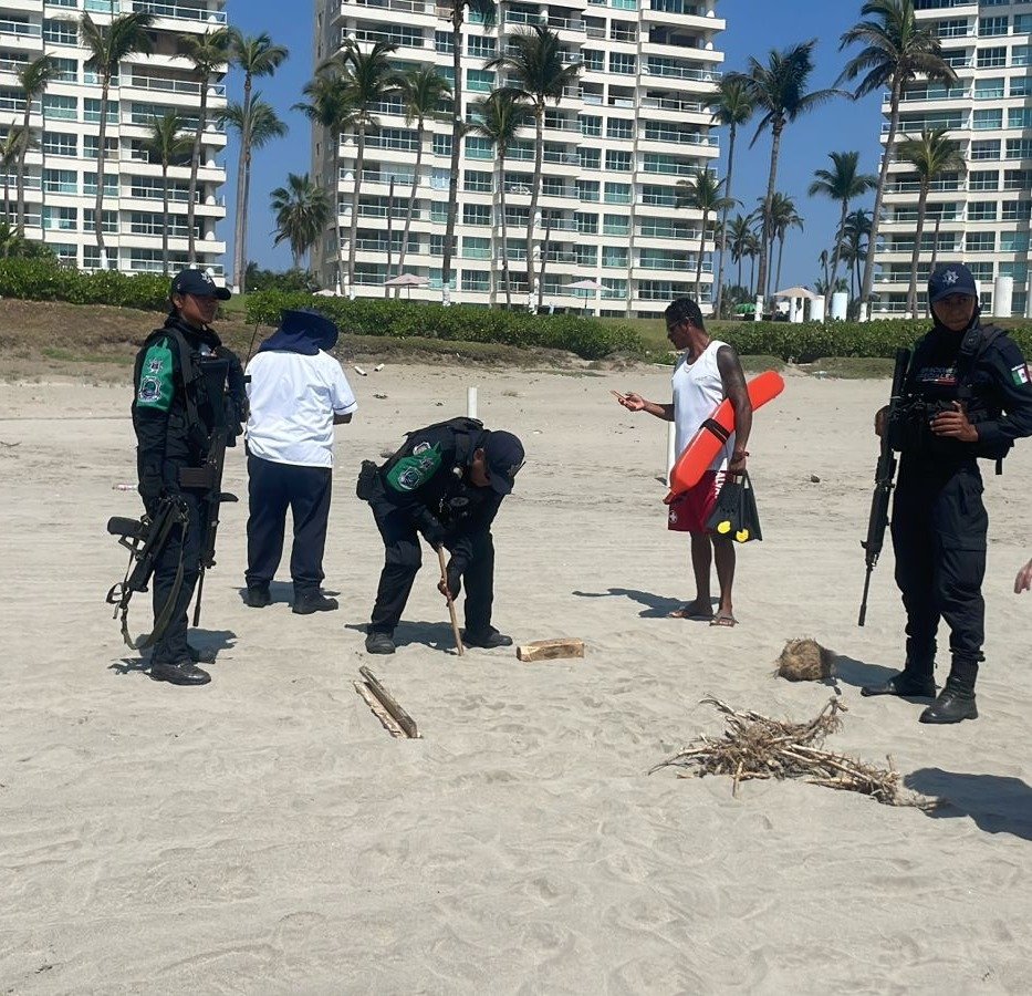 Policía Ecológica Estatal Recupera 98 Huevos de Tortuga Marina en Acapulco