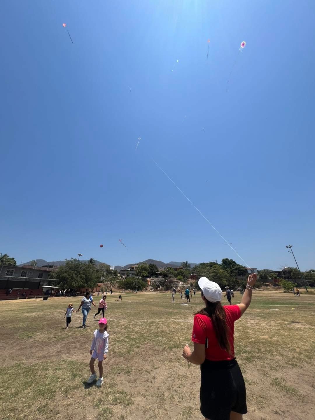 Vuelan alto la imaginación y la tradición en el Festival del Papalote en Coacoyul
