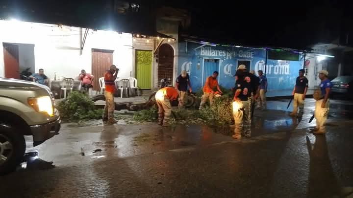 Lluvias y vientos derriban árboles y obstruyen vialidades en Atoyac