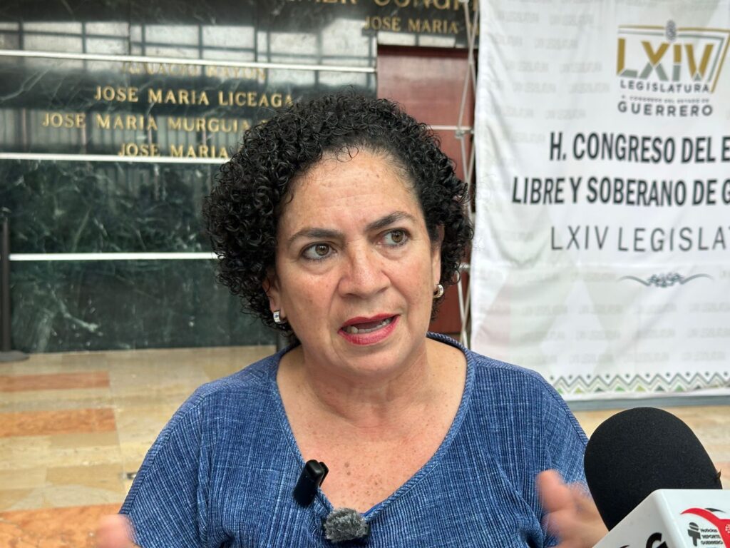 En Guerrero… La mayoría de los alcaldes no atienden el problema de la inseguridad: diputada