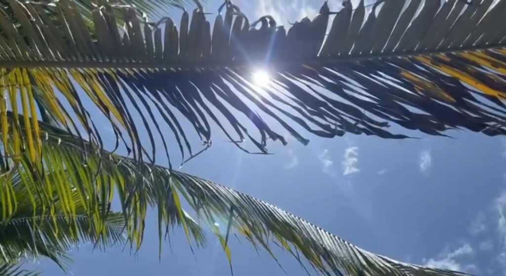 Casos leves de deshidratación reportan en Zihuatanejo, por altas temperaturas