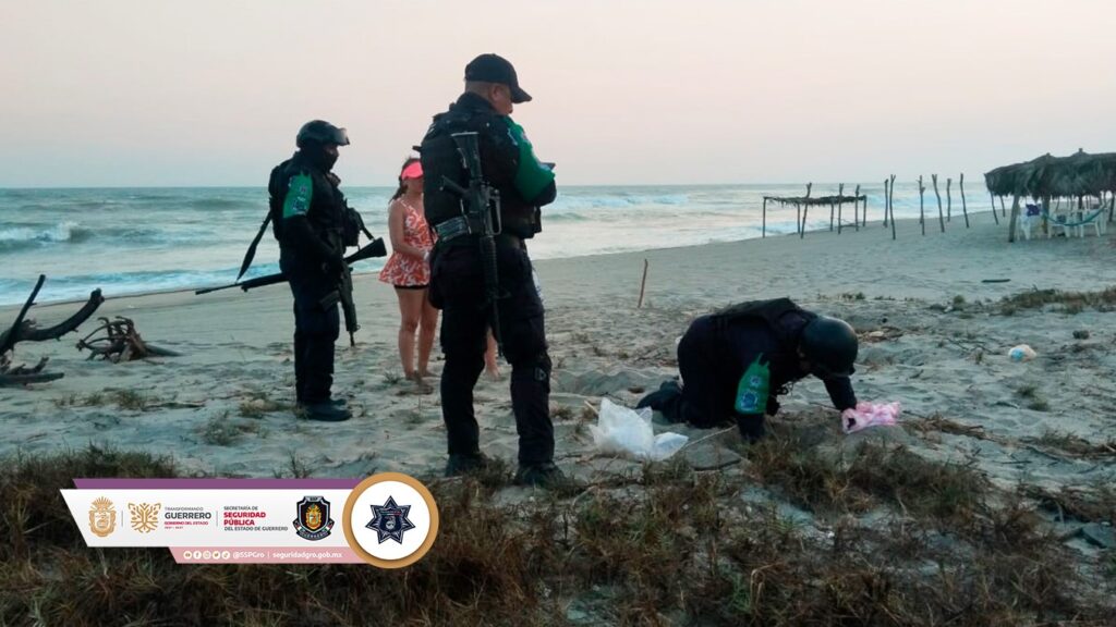 Policía Ecológica Estatal recupera 214 huevos de tortuga marina en Acapulco