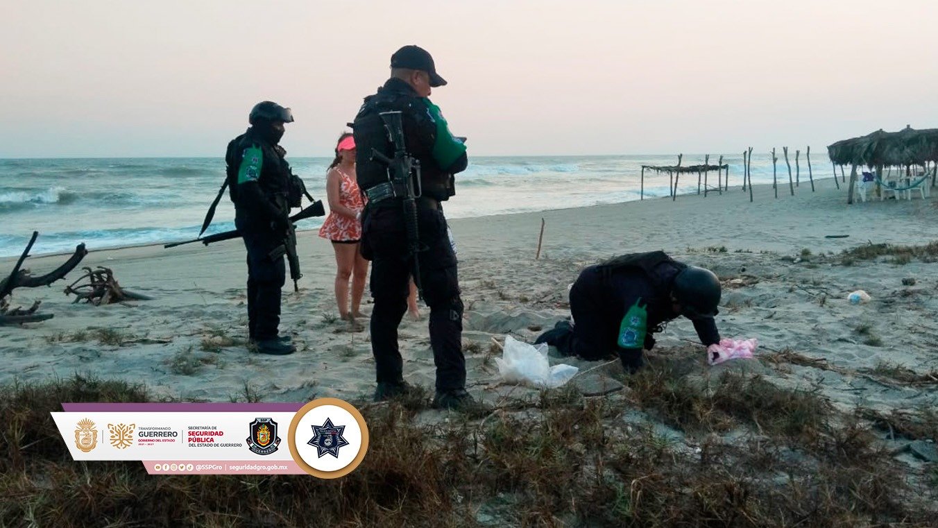 Policía Ecológica Estatal recupera 214 huevos de tortuga marina en Acapulco