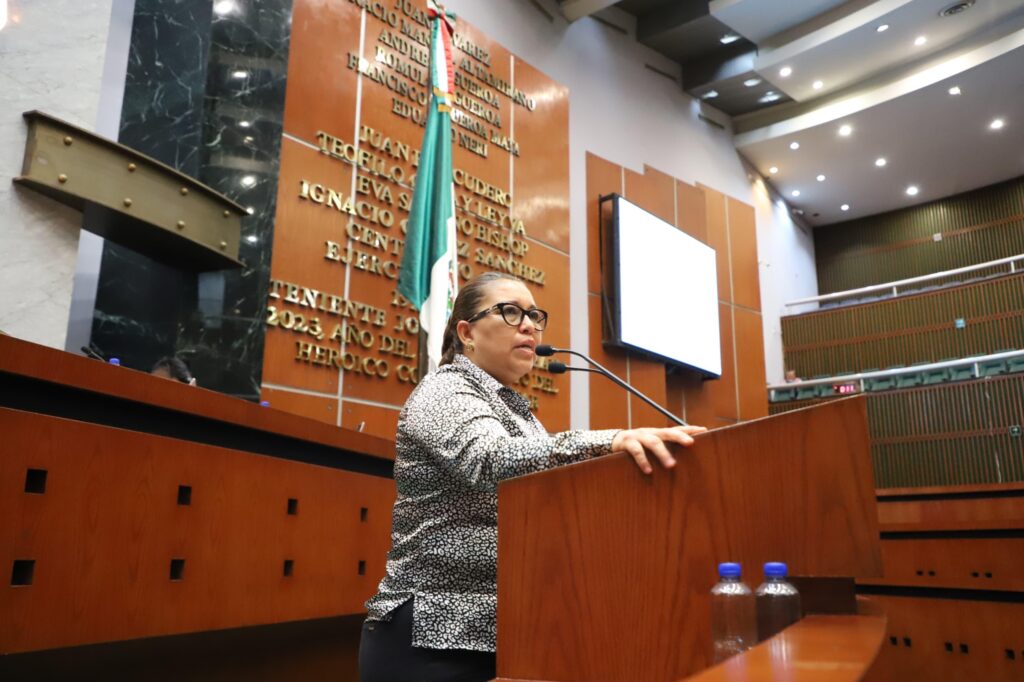 Plantea diputada exhortar a la CFE y a la CNE aplicar tarifa 1F y mejorar red eléctrica en la Costa Chica