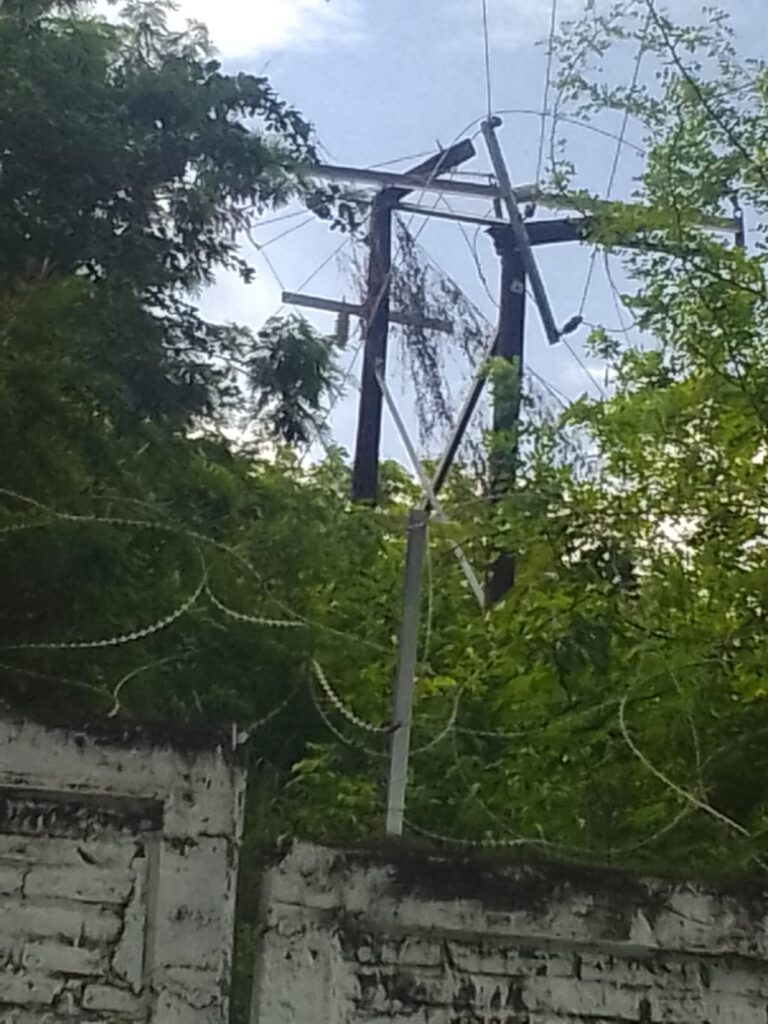 Corte de palma provoca daños a infraestructura eléctrica en Atoyac