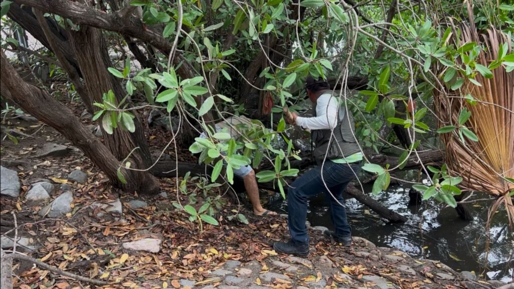 Basura en el cocodrilario: turistas ignoran señalamientos y ponen en riesgo a fauna y personal