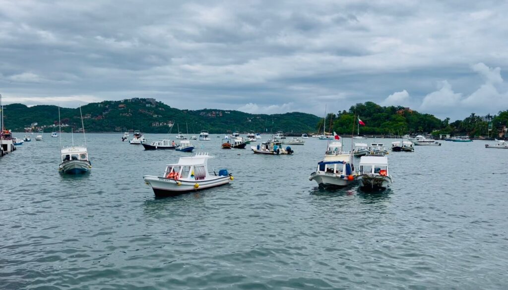 “Erick” afectó actividad pesquera y turística en Ixtapa-Zihuatanejo