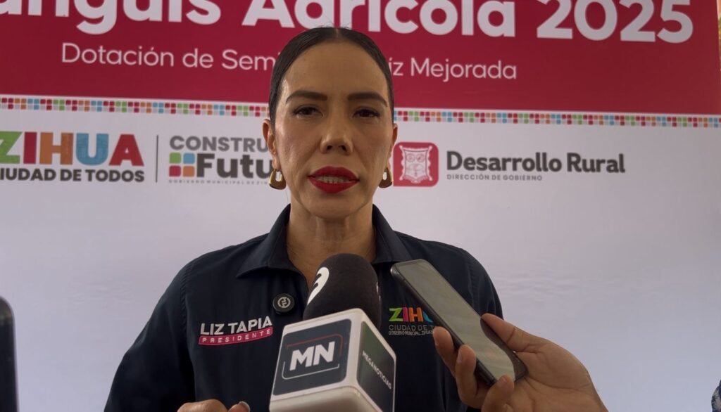 Tormenta “Dalila” recargó los mantos freáticos en Zihuatanejo