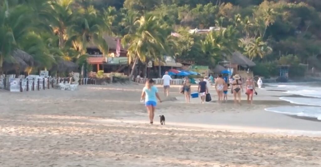 Pide alcaldesa de Zihuatanejo respeto a reglas en playas certificadas
