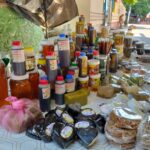 Disminuye producción de miel hasta en 50 % en Atoyac, reportan mujeres apicultoras