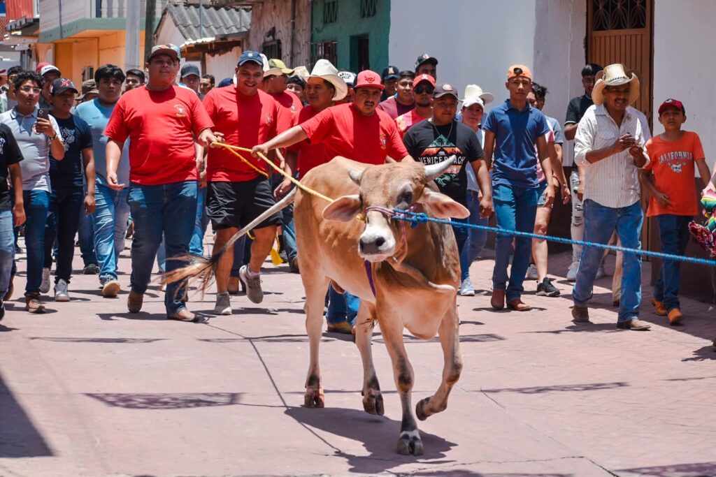 Violan la Ley 491 de Bienestar Animal en las fiestas patronales