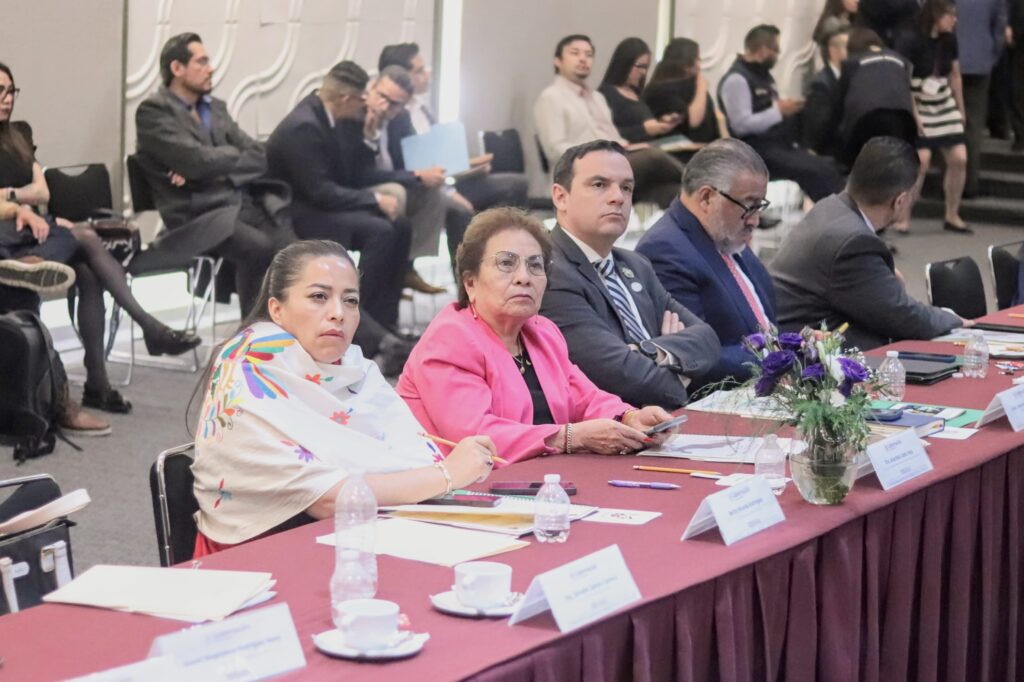 Participa SGG en Sesión de la Agenda Nacional de Derechos Humanos, convocada por la SEGOB