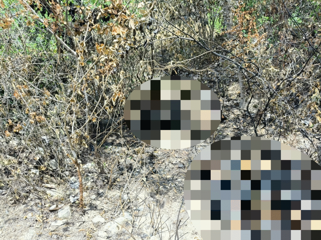 Hallan a una pareja desmembrada y quemada en pueblo de San Marcos