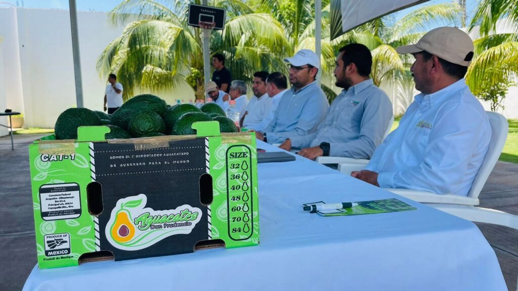 Productores de aguacate se reúnen en Técpan para fortalecer el sector