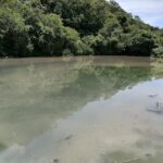 Refuerza el gobierno estatal acciones ambientales en Ixcateopan