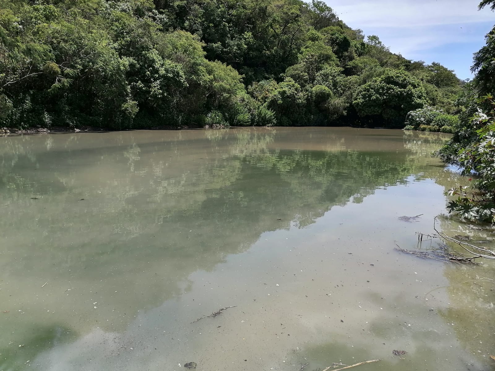 Refuerza el gobierno estatal acciones ambientales en Ixcateopan