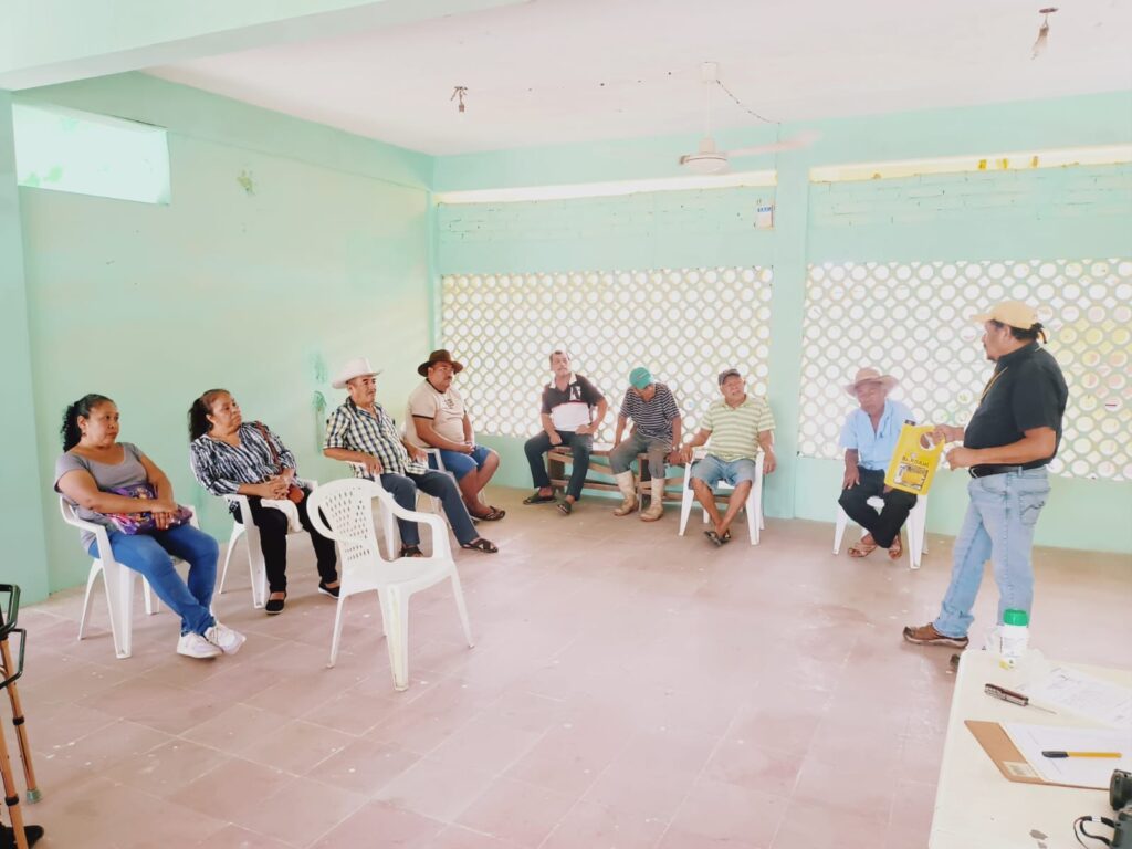 Sagadegro capacita a productores de coco en control del picudo negro