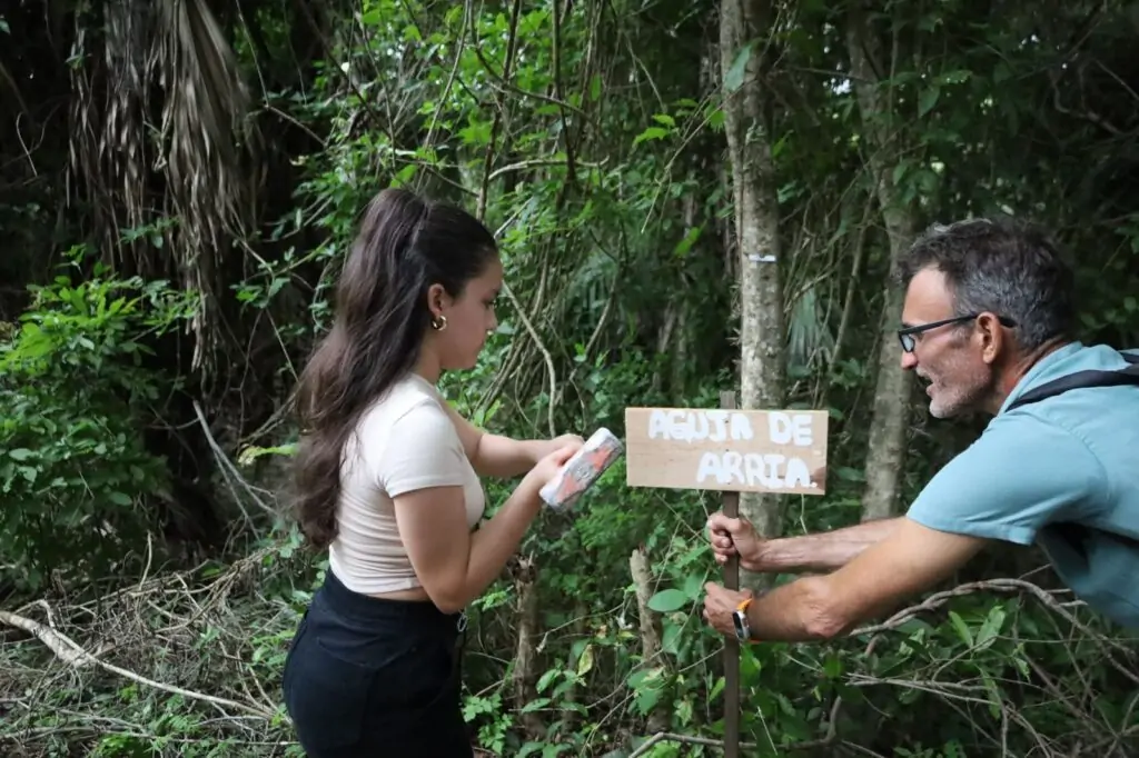 Gobierno de Lizette Tapia Castro celebra el Día del Árbol en comunidad y con propósito