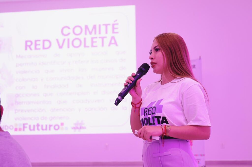 Gobierno de Lizette Tapia Castro instala Comité de Red Violeta del sector hotelero de Ixtapa