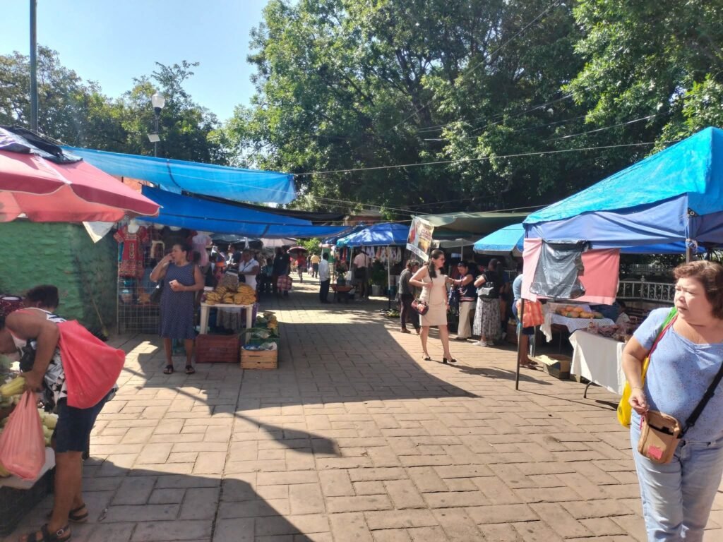 Comerciantes semifijos dinamizan la economía en el zócalo de Atoyac
