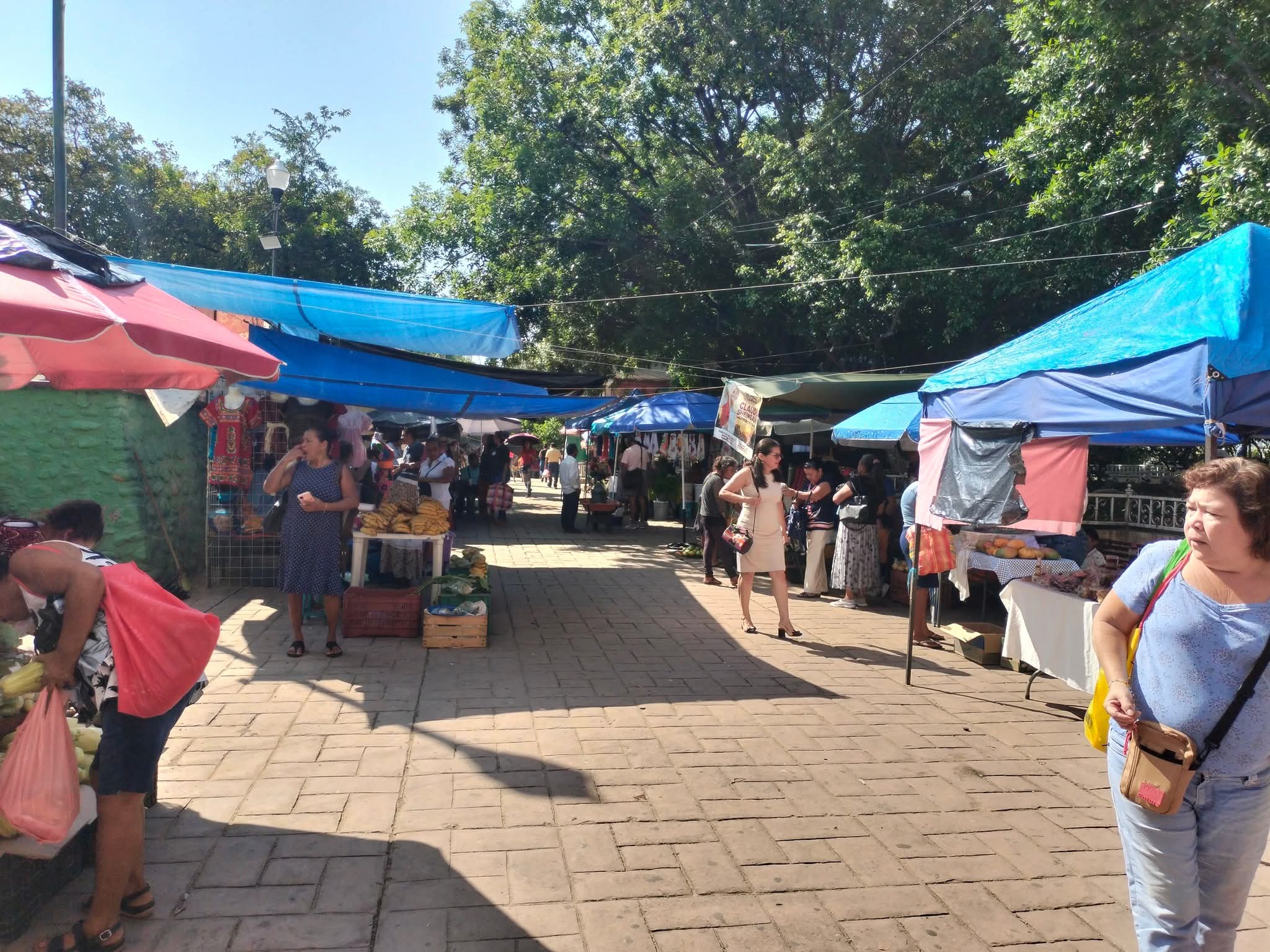 Comerciantes semifijos dinamizan la economía en el zócalo de Atoyac