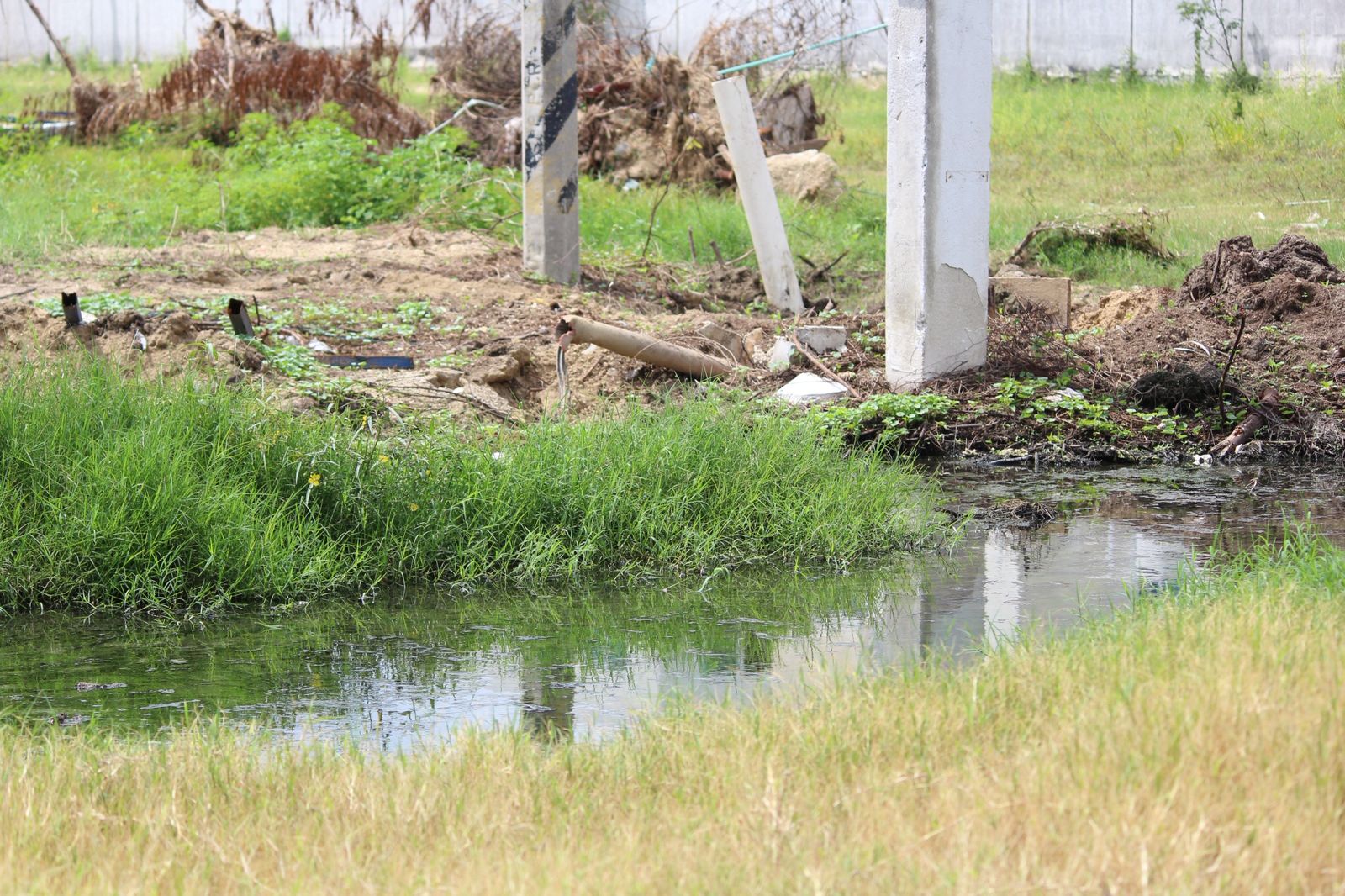 Habitantes de “Marina Diamante” de Acapulco… Exigen solución al vertimiento de aguas negras en la laguna de Tres Palos